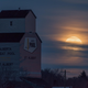 Moon rising in St. Albert, Alberta. Image: Jeff Wallace